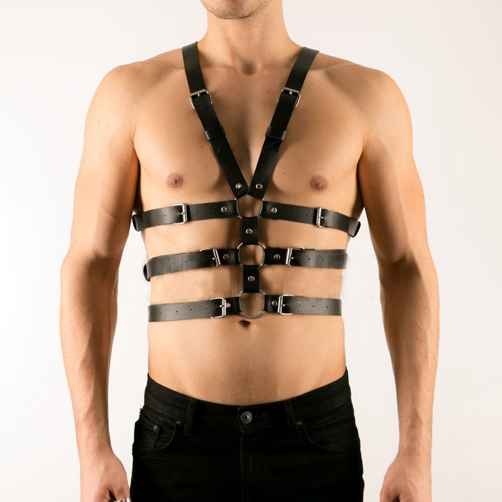 Harness Gay lord