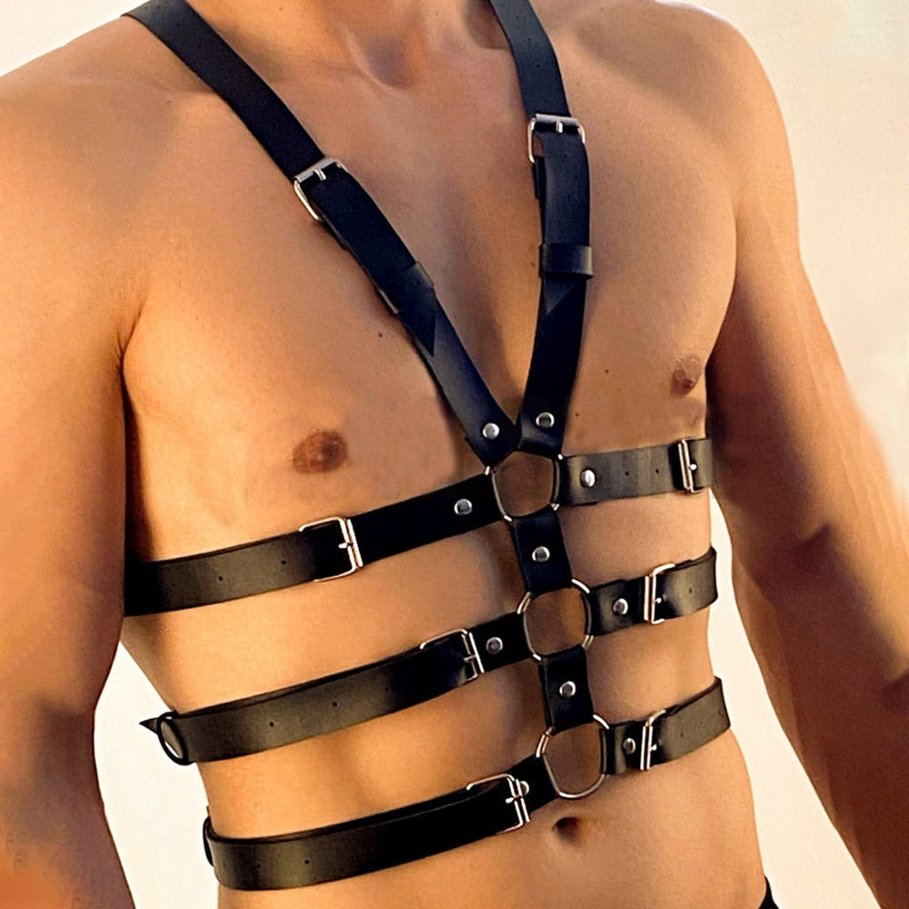 Harness Gay lord