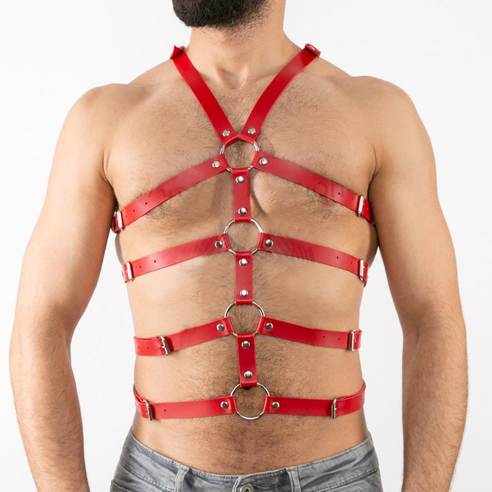 Harness Gay lord