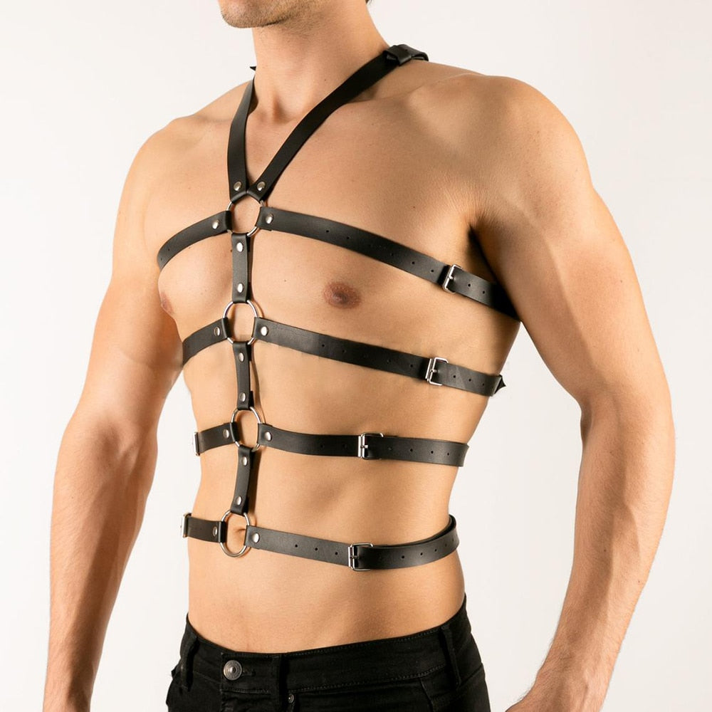 Harness Gay lord