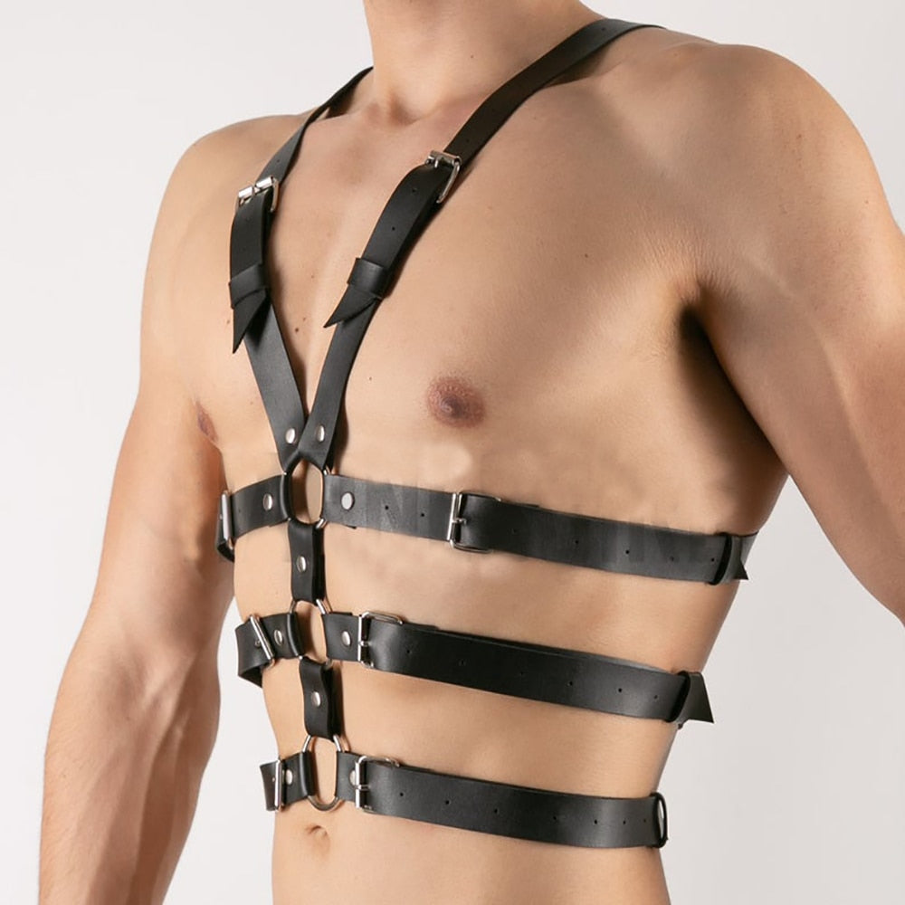 Harness Gay lord