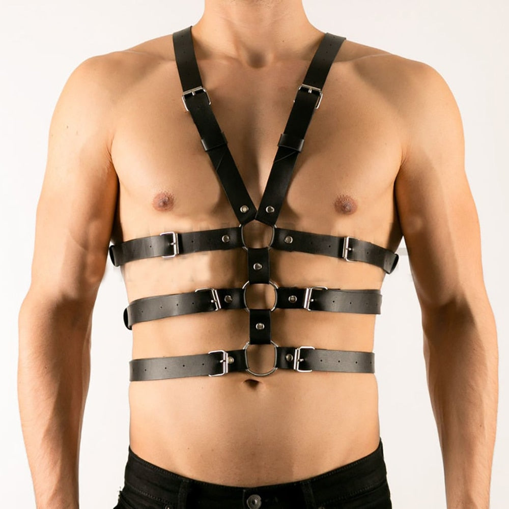 Harness Gay lord