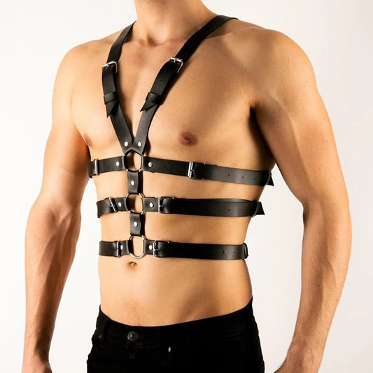 Harness Gay lord